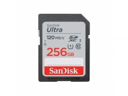 SanDisk carte mémoire SDXC Ultra 256GB SDSDUN4-256G-GN6IN