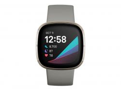 Fitbit Sense Smartwatch sage grey/silver stainless steel - FB512SRSG