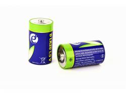 EnerGenie Alkalische D-Zellen-Batterie, 2er-Pack EG-BA-LR20-01
