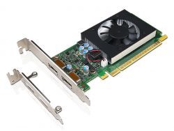 Lenovo GeForce GT730 2GB Dual DP HP and LP Graphics Card 4X60M97031