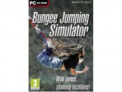 Bungee Simulator -  PC