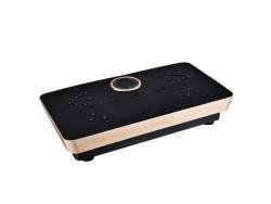 Fitness Body Magnetic Therapy Vibration Plate + Music 73cm (Schwarz-Gold)