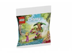LEGO-Disney-Aurora-s-Forest-Playground-30671