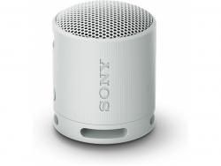 Sony SRS-XB100 Hell gray Speaker SRSXB100H.CE7
