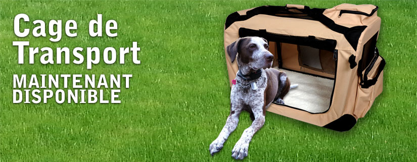 Transport Box für Hunde